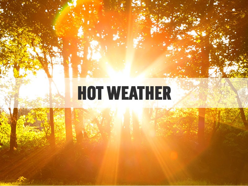 Feeling the heat July was Earth's hottest month on re...