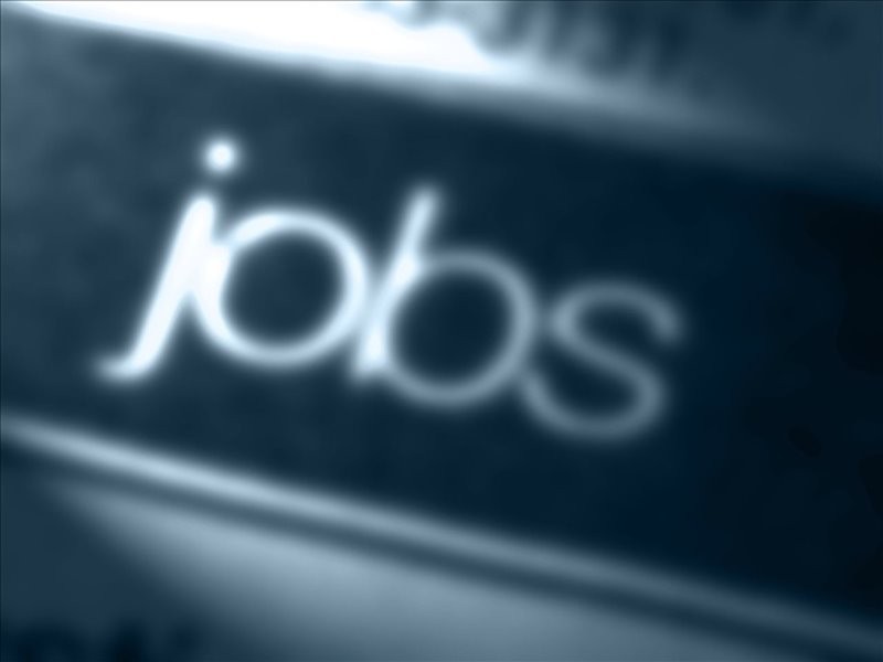 Georgia department of labor resume help